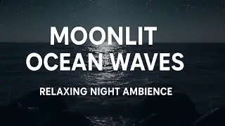 Moonlit Ocean Waves 🌙🌊 | Relaxing Night Ambience