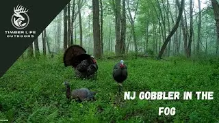 NJ Gobbler in the Fog