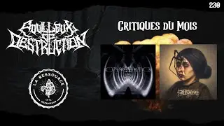 Pouilleux of Destruction - Épisode #230