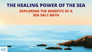Sailing to Wellness: Embracing the Healing Benefits of the Sea