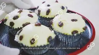 Sponge Cake Manufacturing Plant|Muffin Production Line