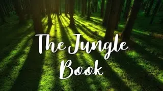 The jungle book | Nature jungle | Nature videos | Nature cinematic video | AnyThing