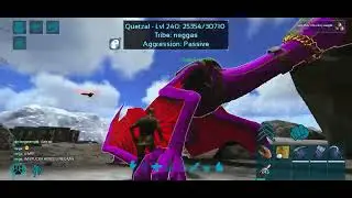 [Ark Mobile PvP] New Fresh Start |Taming, PvP and Farming | #1