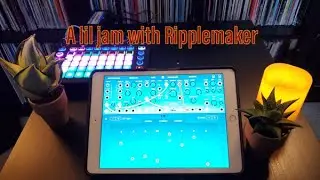 Made a jam with Ruismaker Ripplemaker, Novation Circuit and the Roland JP-08