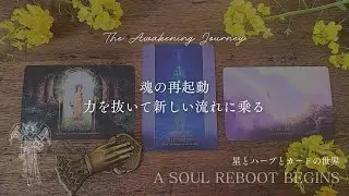【魂の再起動】今、力を抜いた人から新しい流れに乗り始める👼スピリチュアルカードリーディング🪄タロット＋オラクル