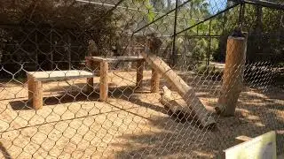 Wildlife world zoo pt.11