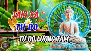 Tâm Xả – Buông Mà Không Lạnh, Thương Mà Không Dính | Tứ Vô Lượng Tâm (Phần 4)