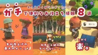 【Dinkum】もっと早く知りたかった…！ガチで便利なお役立ち情報8選💡