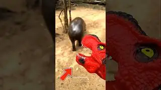 This zookeper loves playing with Hippos 😍&hearts;️