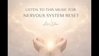 1 Hour Study Focus Music for Nervous System Reset & Calm Concentration
