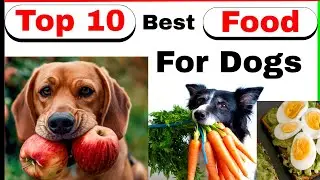 best dog food || best dog food India || cheap & best dog food | best dog food brands || dog food ||