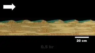 Gaining stream - Dye penetration into an heterogeneous streambed