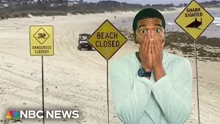 Dozens of Australian Beaches Close After Four Shark Attacks in Less than 48 Hours | American Reacts