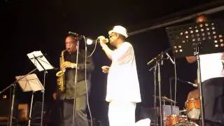 Lapin Live