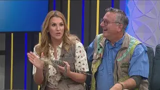 Silly Safaris: Meet a Tiny Alligator named Louis Vuitton - 2/4/26