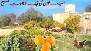 MERE GAON KI SUBHA | VILLAGE LIFE | MULTAN KHURD | MULTAN KHURD VILLAGE | GAON KI ZANDAGI
