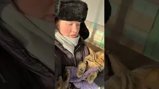 #cat #веселыекоты #кот #прикольныекоты #красиваякошка #котики #видосыоткота #cute #милота #моякошка