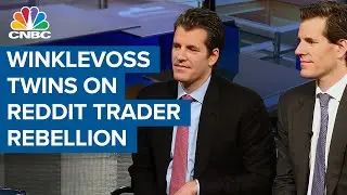 Winklevoss twins on Reddit trader rebellion: We're here to support