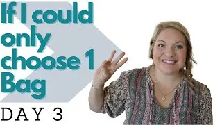 If I Could Only Choose One Bag | Day 3
