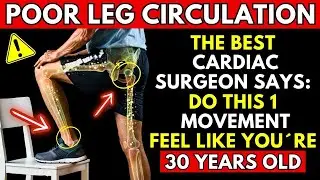 Surgeon REVEALS: This Exercise Improves Poor Leg Circulation After 60