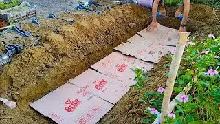 How to start a worm bin at home