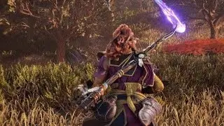 The one armed warrior