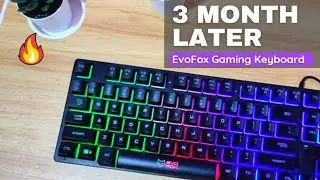 EvoFox Fireblade Gaming Keyboard Review after usage of 3 month detail review and condition [ 2021 ]