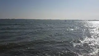 Royal Victoria country park / Southampton water
