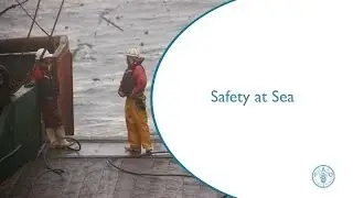 Safety at Sea