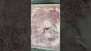 Making Glitter Roses 🥀 #shorts #viral
