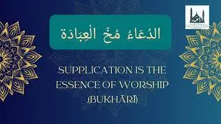 Hadith of the day || Hadith || Hadees || Hadis of the day   @UmmahOnlineAcademy