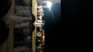 new  /  jashnath ji fire dance by poornath sidh fire dance ailash sidh | jashnath| poornath