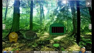 Dancing Bear Forest Escape Walkthrough [Games2Rule]