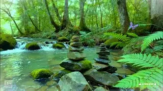 waterfall sounds relaxing nature video. Relaxing Sound of Lapping Water - Nature Relaxation #63