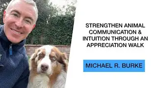 An Animal Communicator&rsquo;s Practice: The Appreciation Walk for Intuition and Connection
