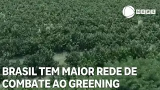Brasil tem maior rede de combate ao 