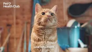 The Pet Health Club - The Club All The Cool Pets Are In!