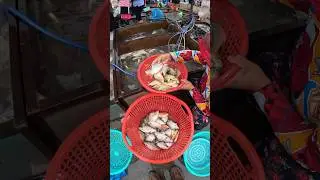 Fresh Fishes Are Here! #fishmarket #fishsellers #fishvideo