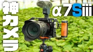 【撮影機材】&alpha;7Siiiを導入した【SONY】