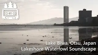 Lake Biwa | Morning Lakeshore Soundscape in Otsu, Japan