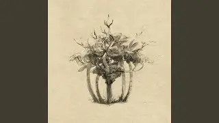 801 (demo)