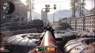 Ps5 Call of duty Cold War (Game crash fix)