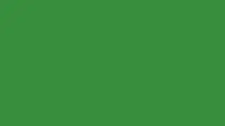 Blank Green Screen| Lasts 1 hour|Full HD,2D,3D,4D