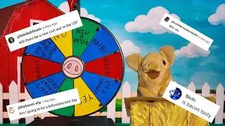Pig Here! Ask me a question!