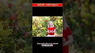 మీకు తెలుసా ఆపిల్ ఫన్ - ఆపిల్ వాస్తవాలు || Did you know Apple Fun - Apple Facts in telugu