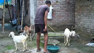 funny injection reaction video | Injection crying funny videos | injection children's videos funny