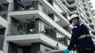 Taubenabwehr M&uuml;nchen