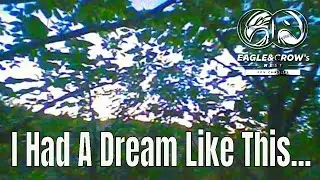 Tiny Whoop Insane FreeRunning -Through The Treetops !!!
