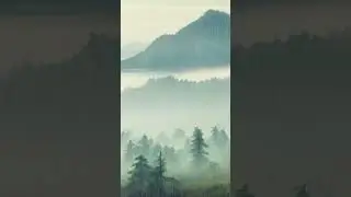 Молниеносно в Царство Сна: Дождь, Обнуляющий Мозг  #sleepsounds #rainoundforsleep #выспаться #relax
