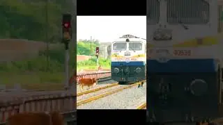 The loco pilot was driving the train and hit a poor cow#respect #subscribe #like